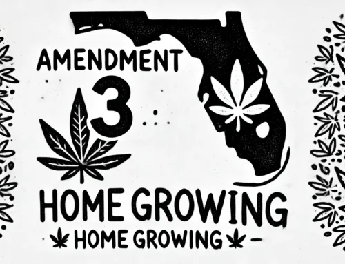 The False Narrative Surrounding Amendment 3: Debunking the “Home Grow Ban” Myth