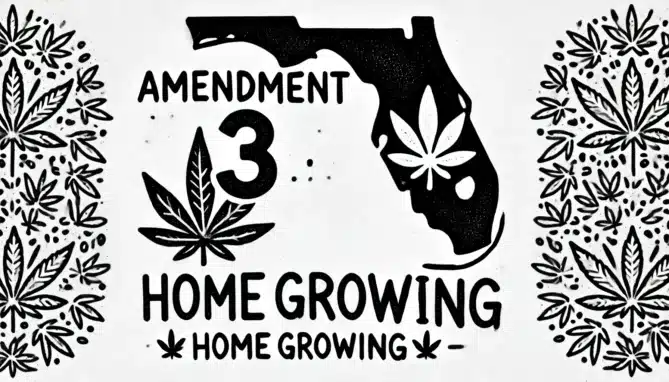 Amendment 3 Florida Home Growing Marijuana